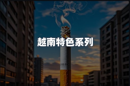 越南特色系列